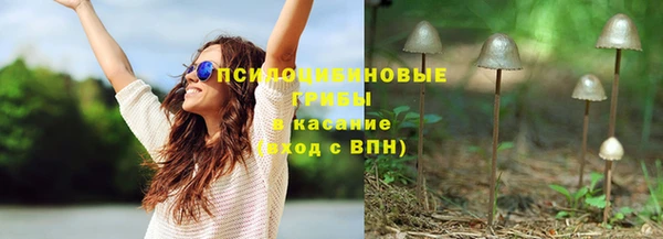 стаф Балахна