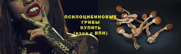 стаф Балахна